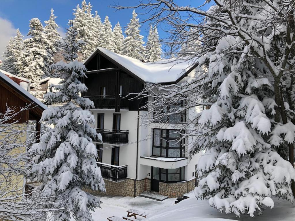 Montana Residence Poiana Brasov Eksteriør bilde